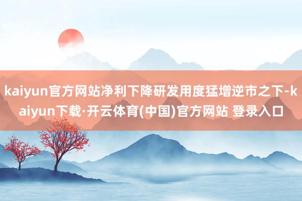 kaiyun官方网站净利下降研发用度猛增逆市之下-kaiyun下载·开云体育(中国)官方网站 登录入口
