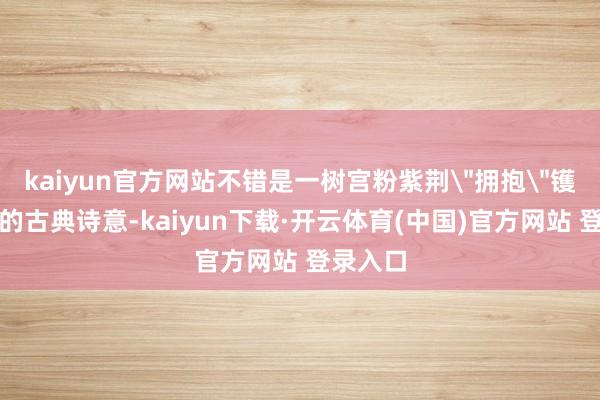 kaiyun官方网站不错是一树宫粉紫荆＂拥抱＂镬耳山墙的古典诗意-kaiyun下载·开云体育(中国)官方网站 登录入口